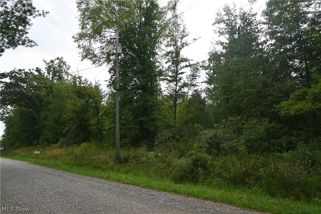 Lewis Road Property Photo 1