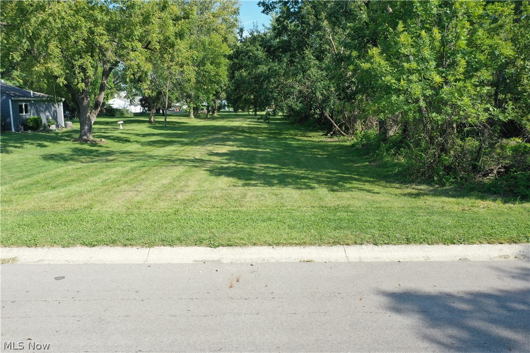 0 3rd Avenue Property Photo 1
