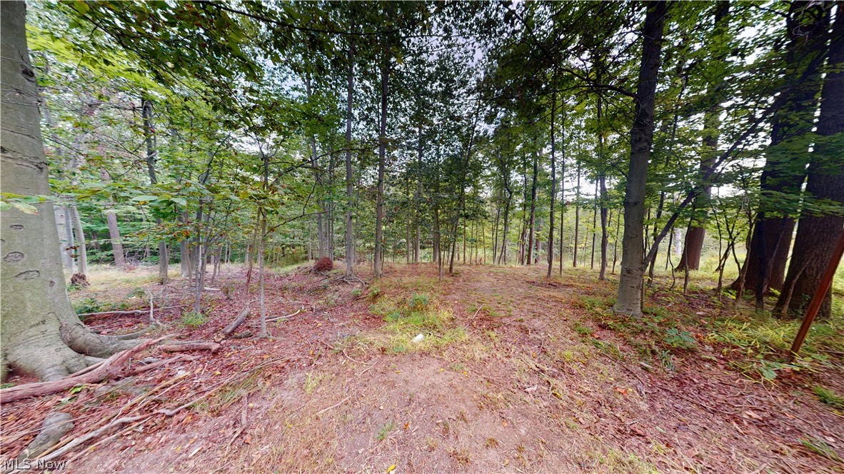 9260 Avery Road Property Photo 41