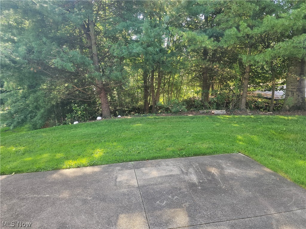 470 Pheasant Run Property Photo 14