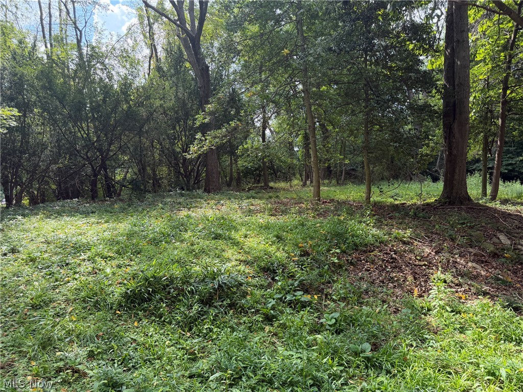 1700 Holly Drive Property Photo 8