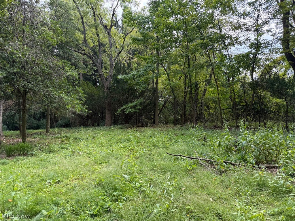 1700 Holly Drive Property Photo 12