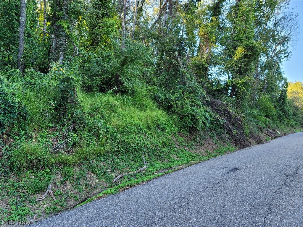 0 Grandview Property Photo 1