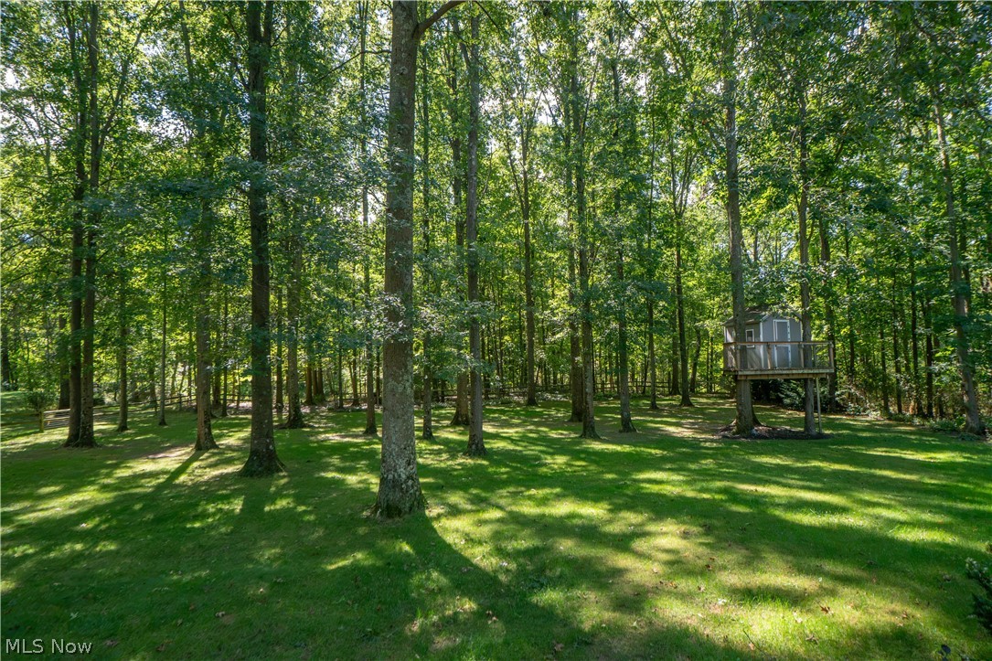 2332 Porter Road Property Photo 43