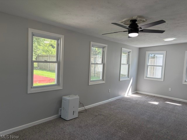 4837 Willowbrook Drive Property Photo 26