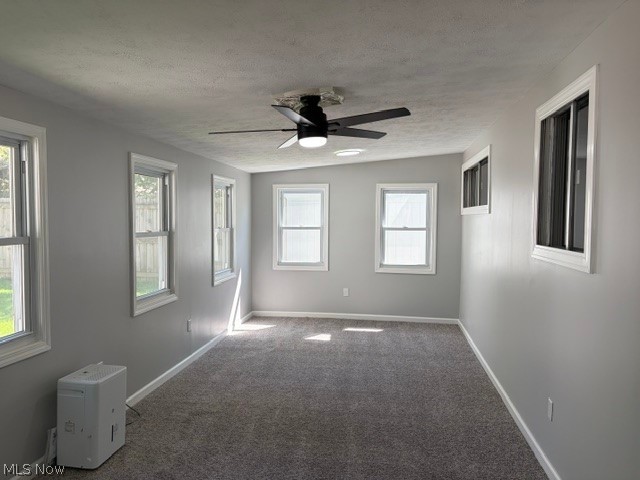 4837 Willowbrook Drive Property Photo 27
