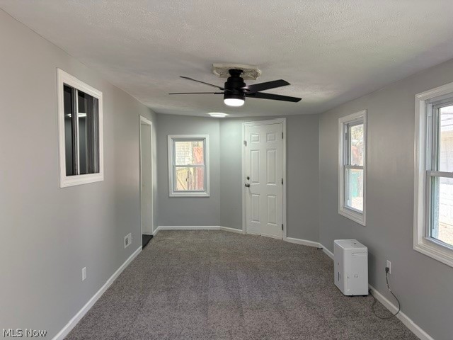 4837 Willowbrook Drive Property Photo 28