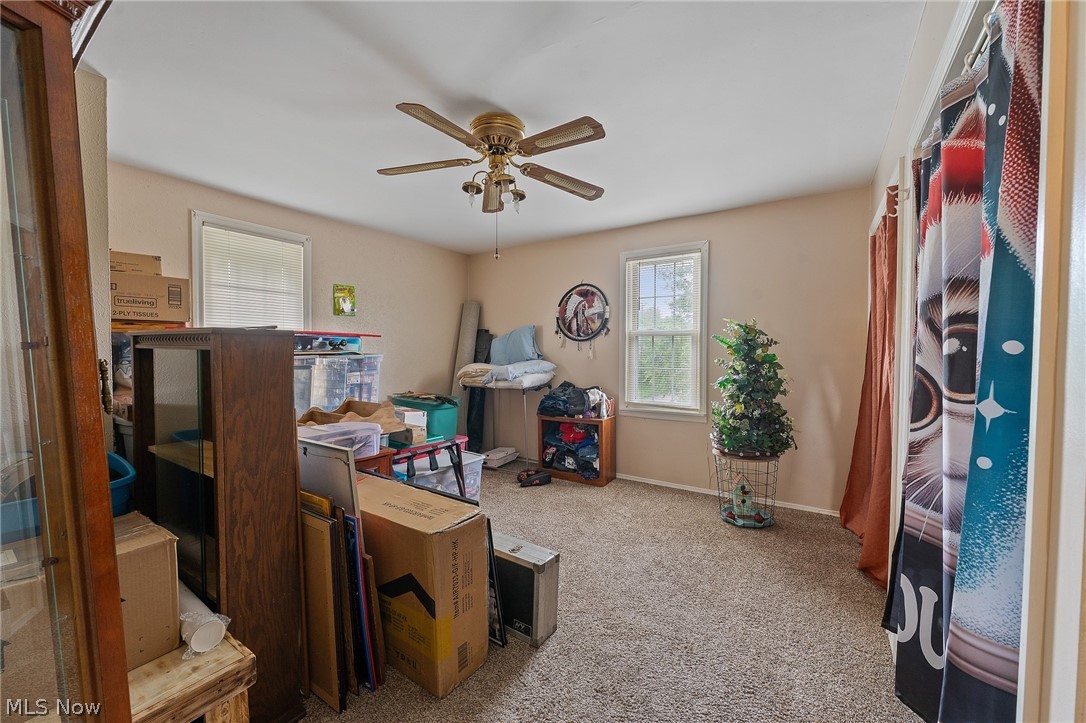 344 Mahoning Avenue Property Photo 21
