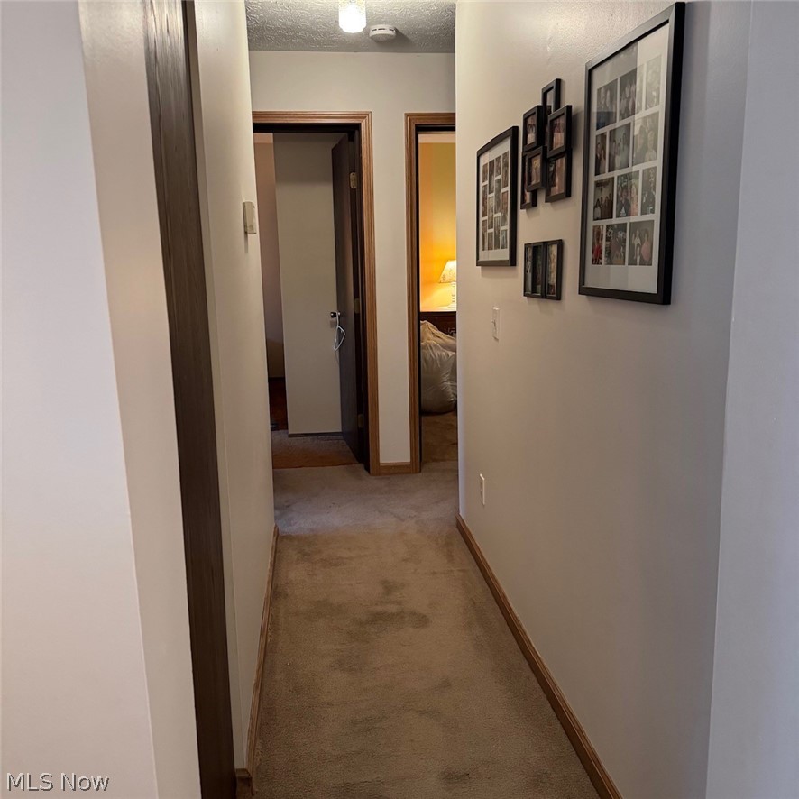 114 Sabetha Place Property Photo 29