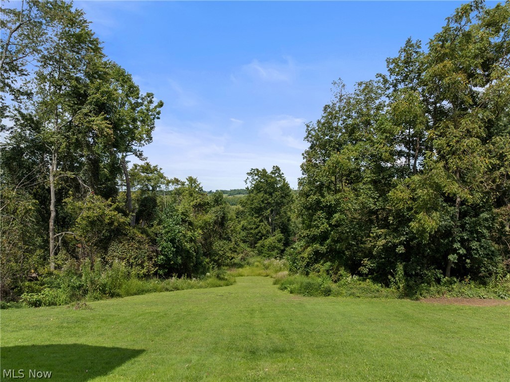 72395 Uniontown Flushing Road Property Photo 8