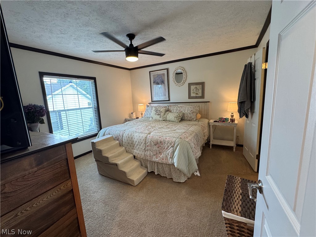 8879 Falcon Drive Property Photo 10