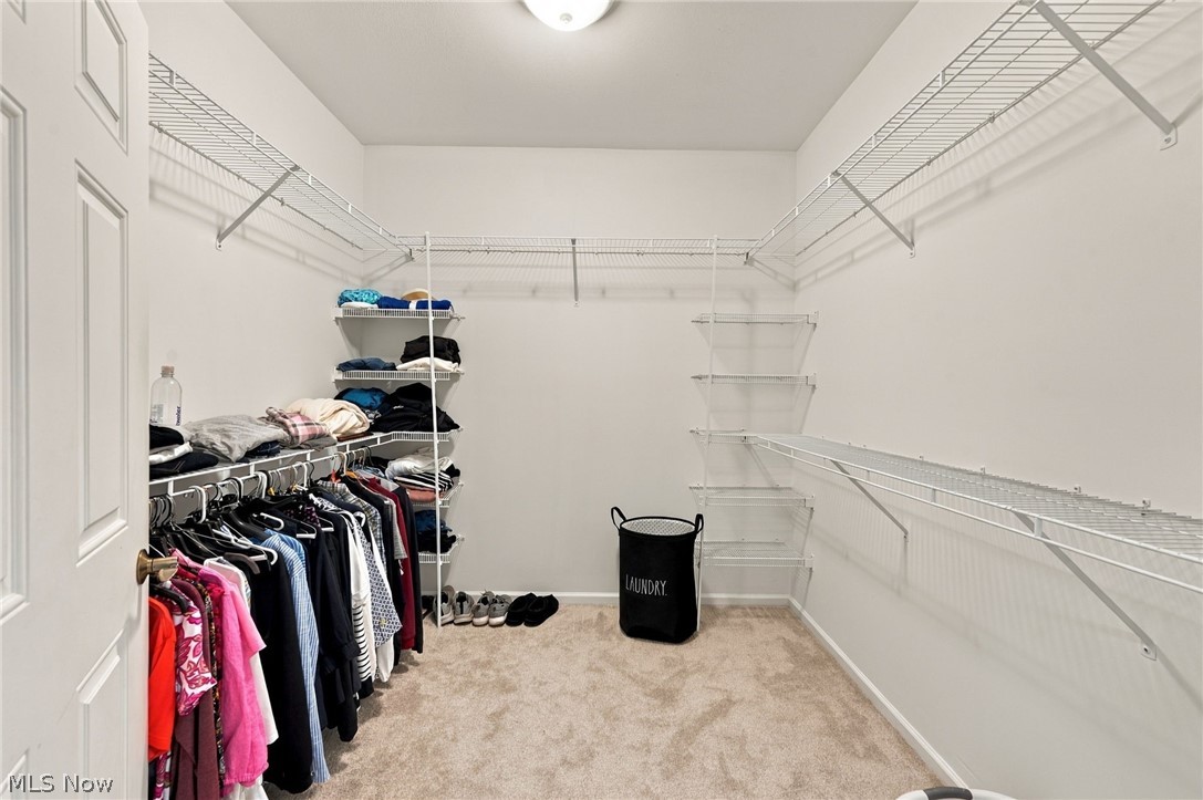 21 Bristol Lane Property Photo 19