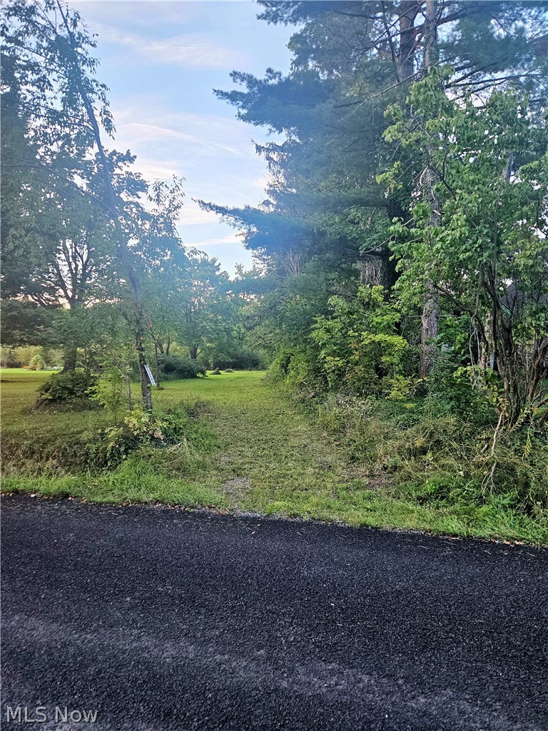 15282 Leroy Road Property Photo 1