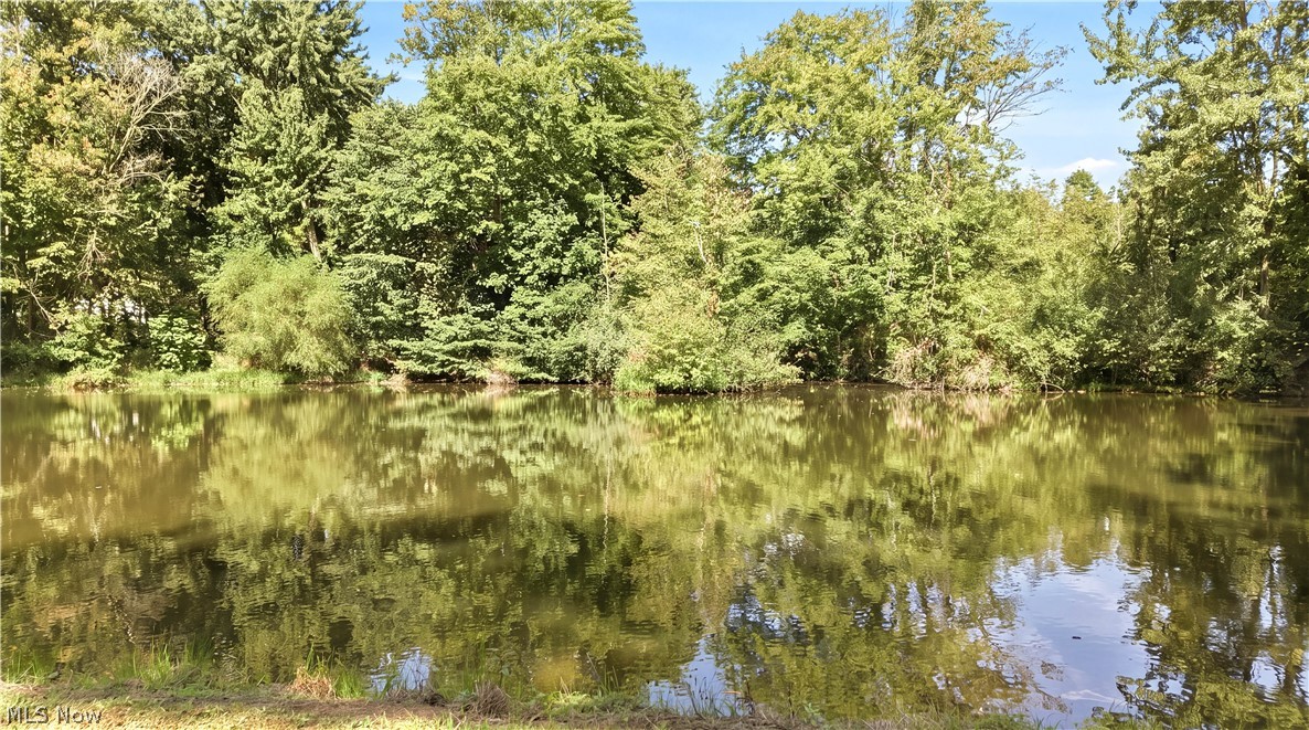 12425 Whitman Road Property Photo 9