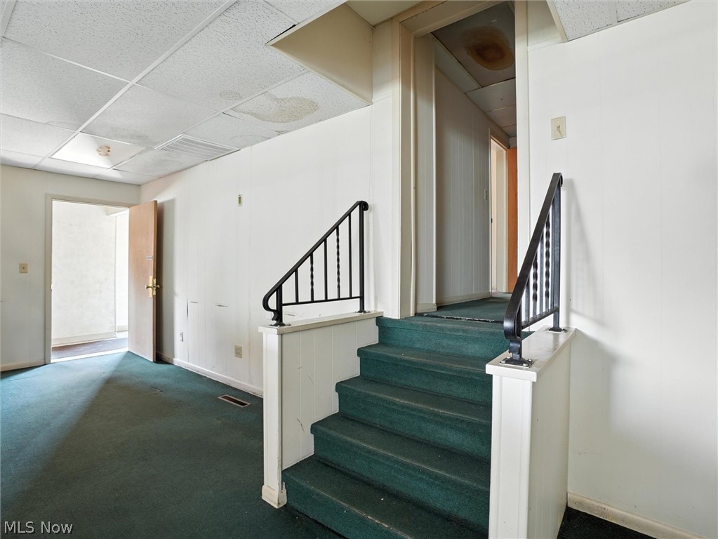 244 Mill Street Property Photo 24