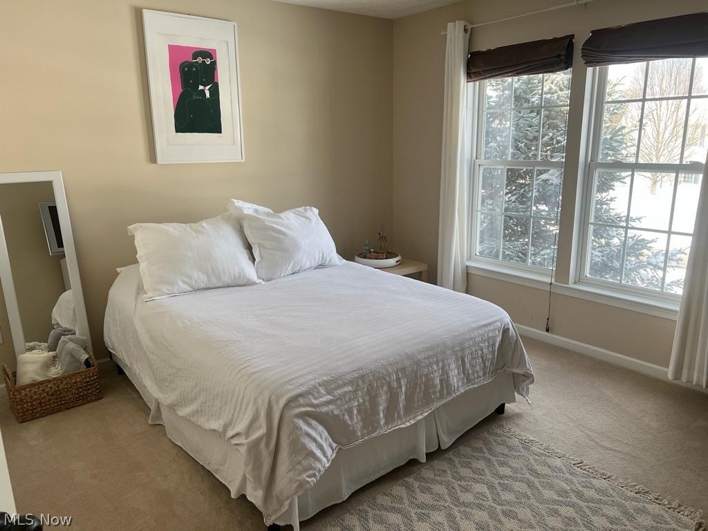 4728 Wilshire Drive Property Photo 33