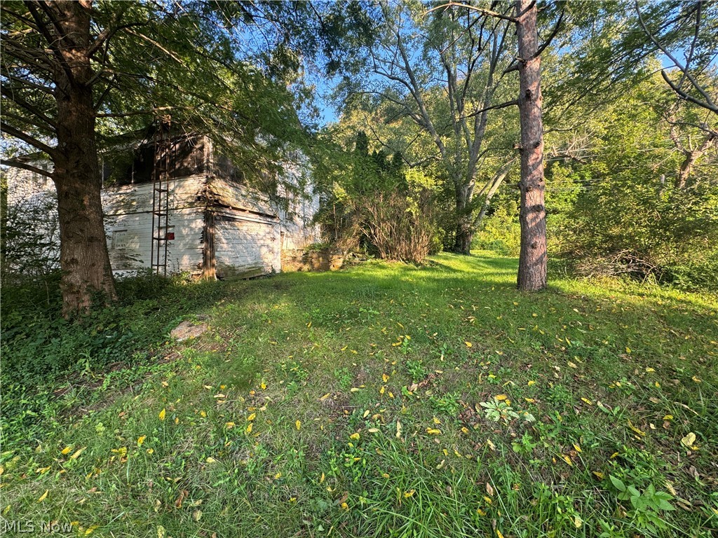 350 Ingram Road Property Photo 8