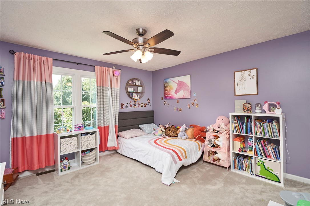 3799 Hillbrook Drive Property Photo 17