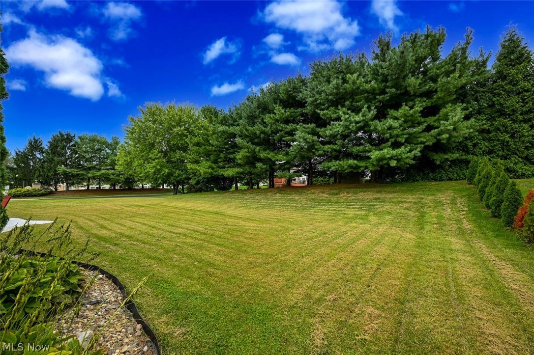 1257 Muchney Circle Property Photo 4