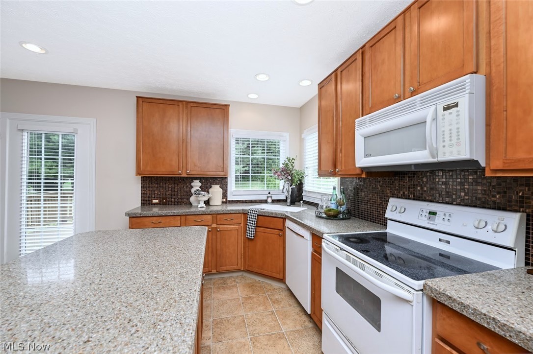1257 Muchney Circle Property Photo 18