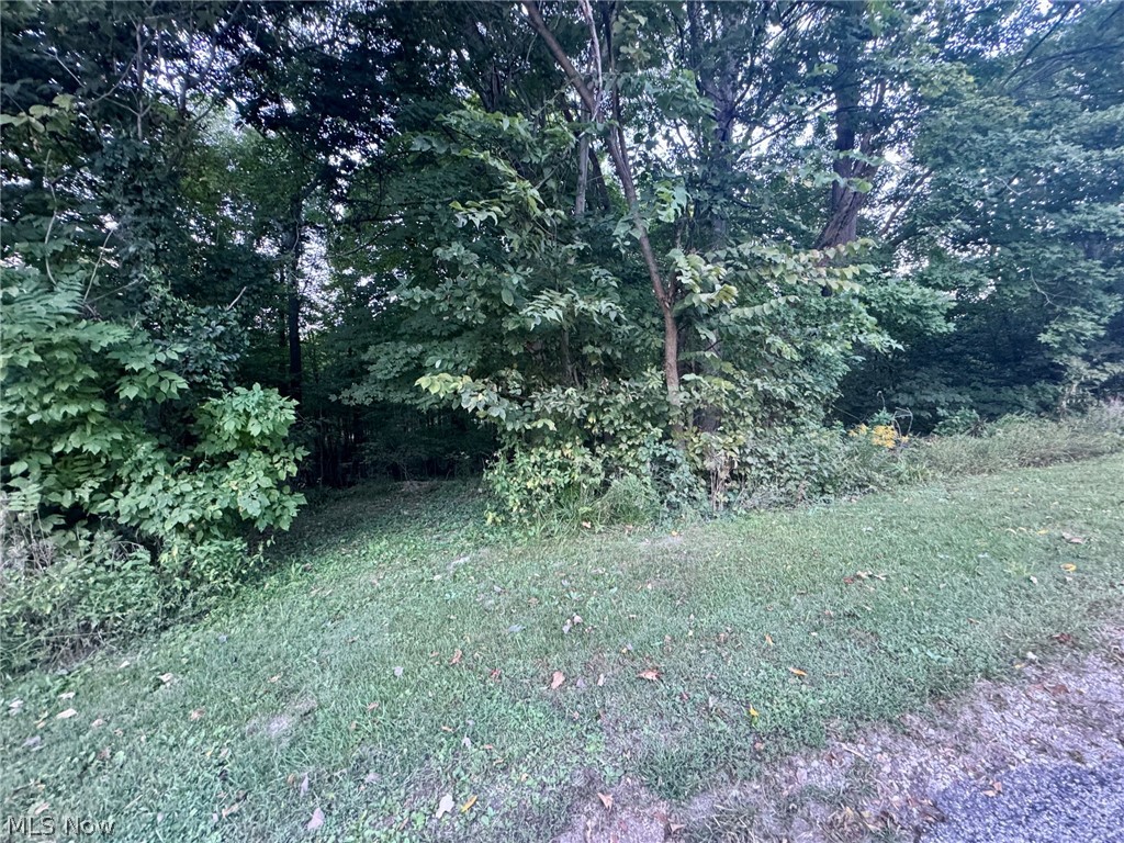 0 Tarkman Drive
