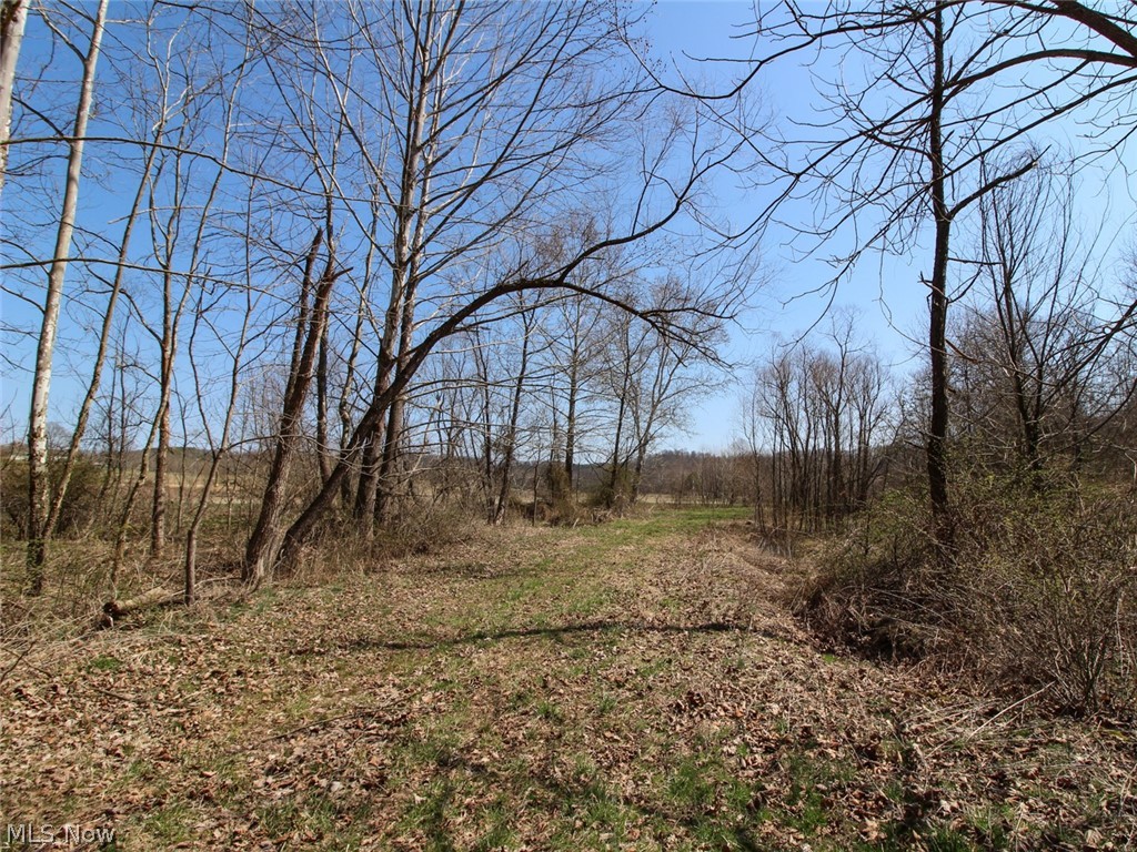 0 State Route 595 Property Photo 27