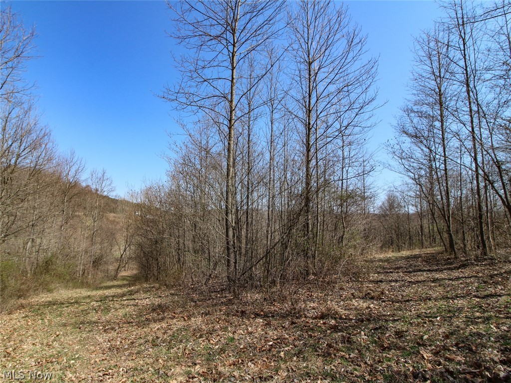 0 State Route 595 Property Photo 28