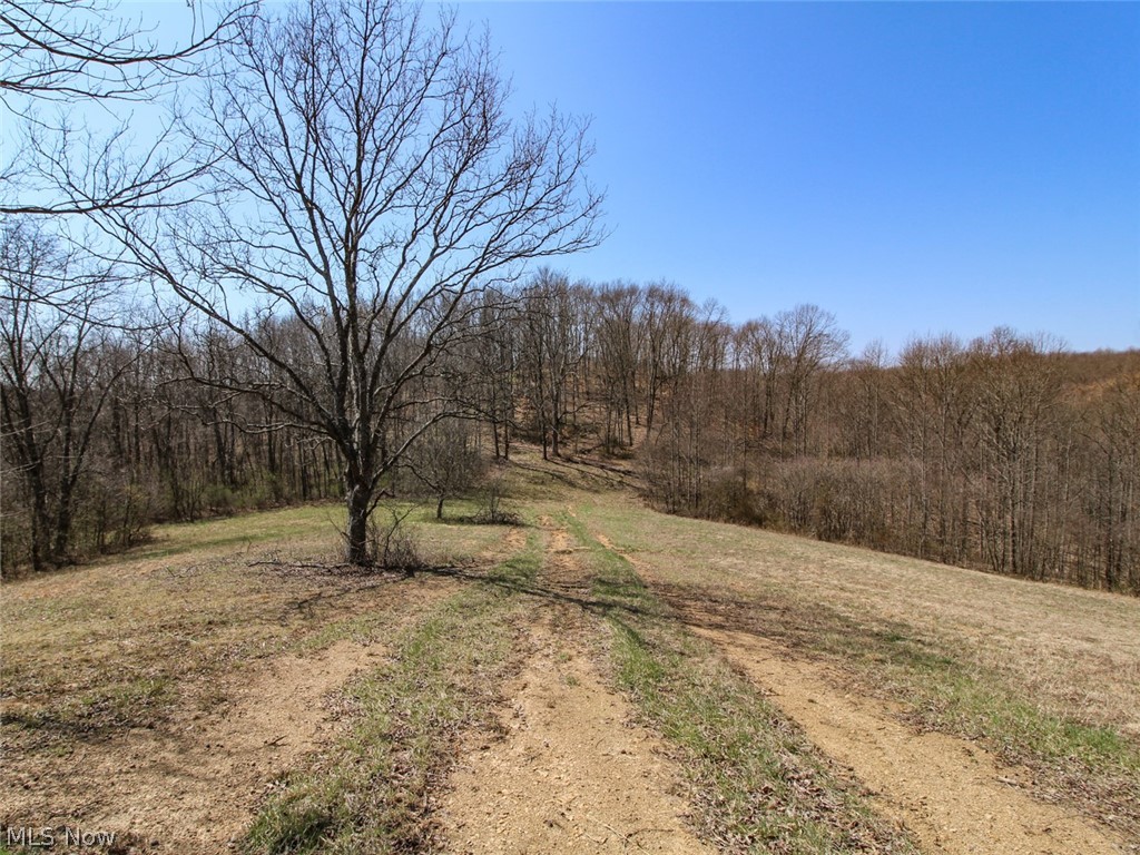 0 State Route 595 Property Photo 29