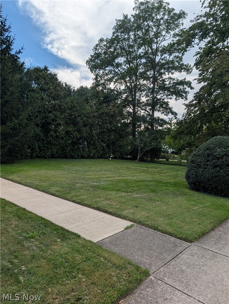 793 Park Avenue Property Photo 2