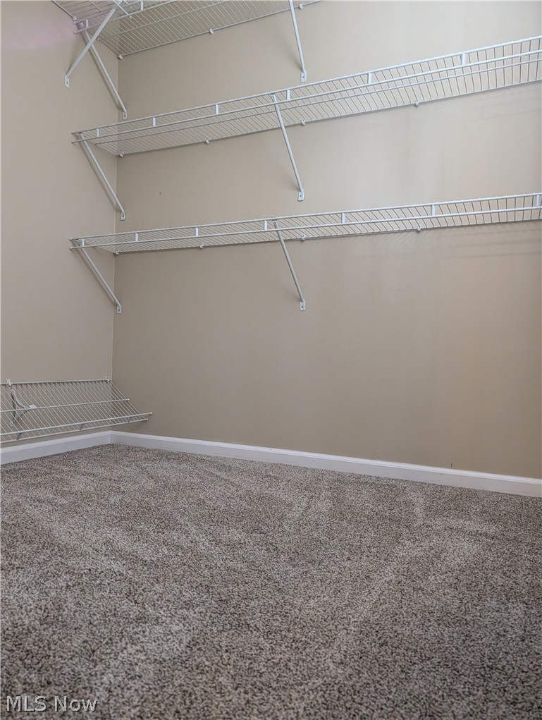 793 Park Avenue Property Photo 22