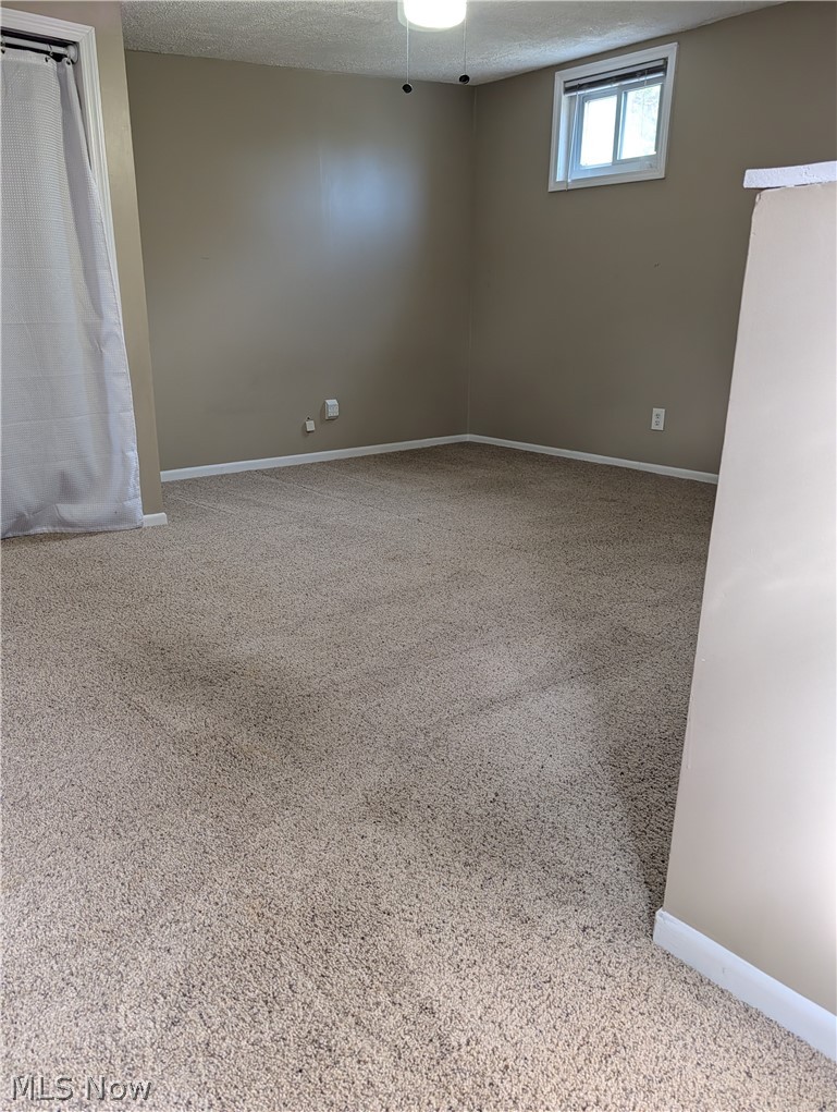 793 Park Avenue Property Photo 27