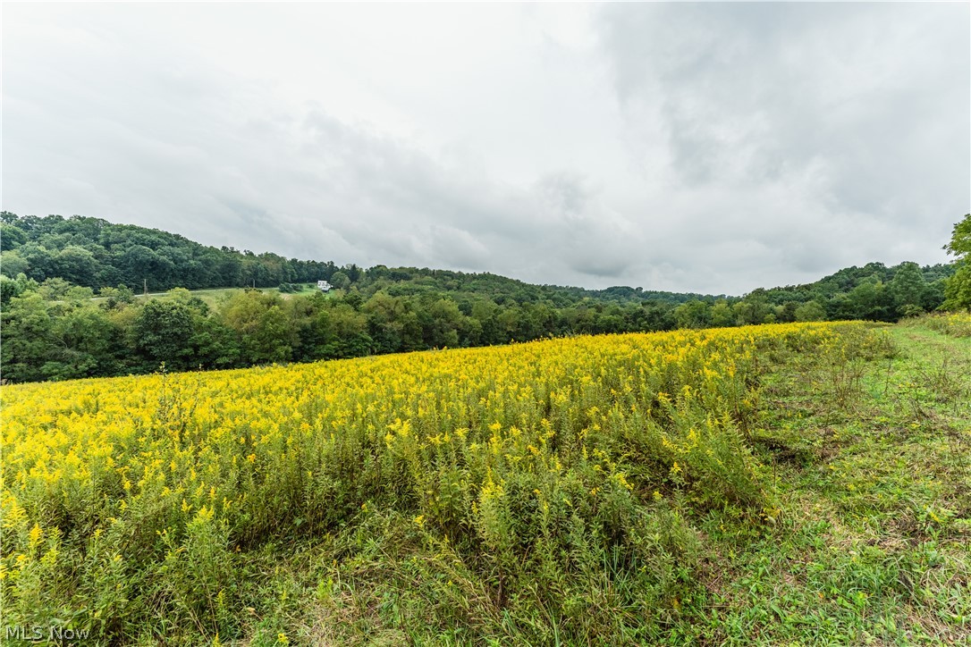 Tr 68a Property Photo 6
