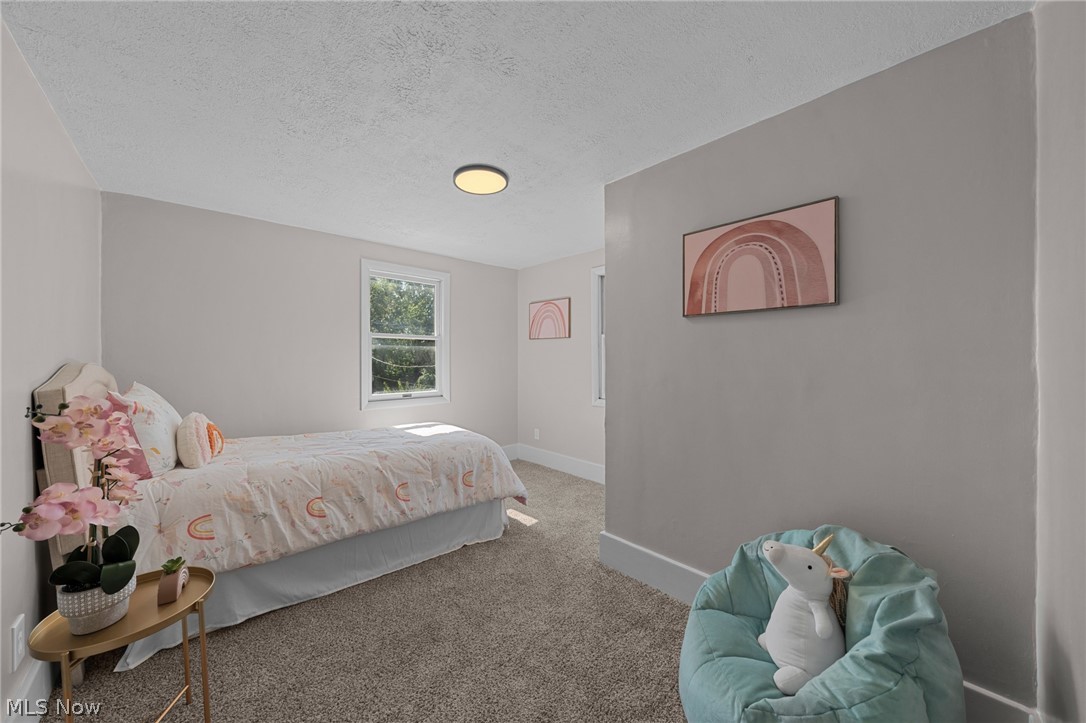 33 Brighton Drive Property Photo 31