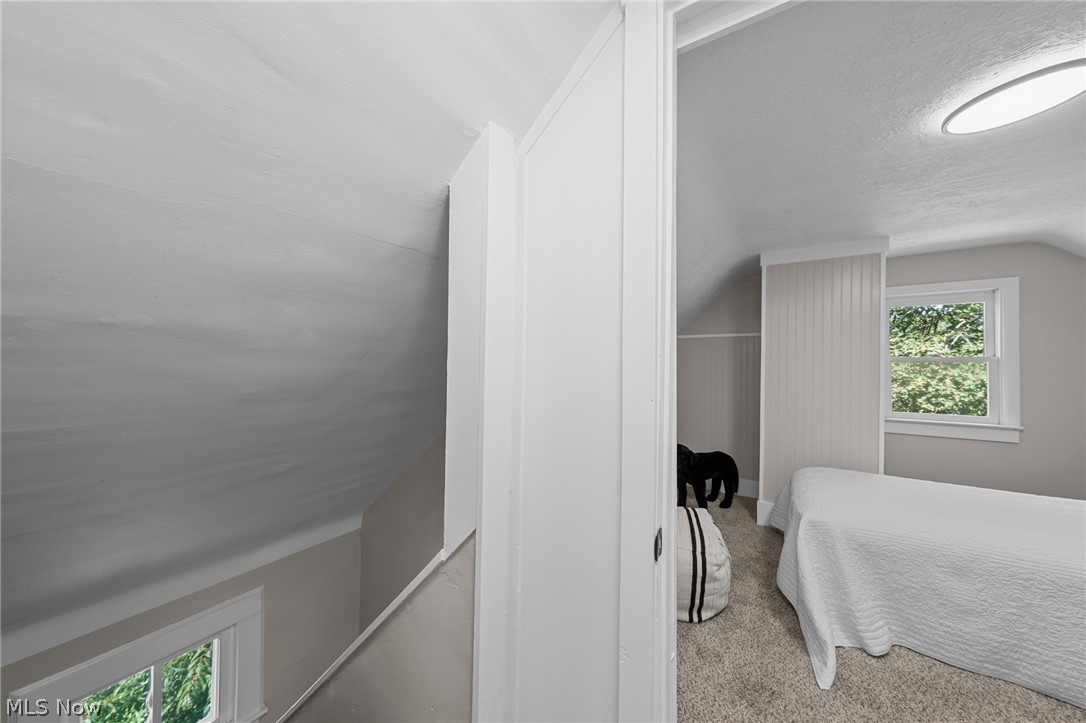 33 Brighton Drive Property Photo 40
