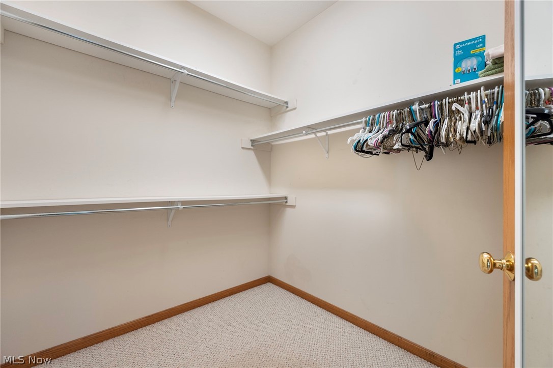 10 Cayuga Trail Property Photo 22