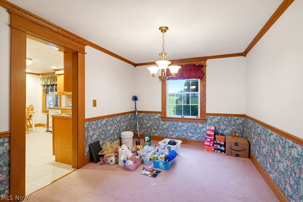 4209 Sunnyview Drive Property Photo 5
