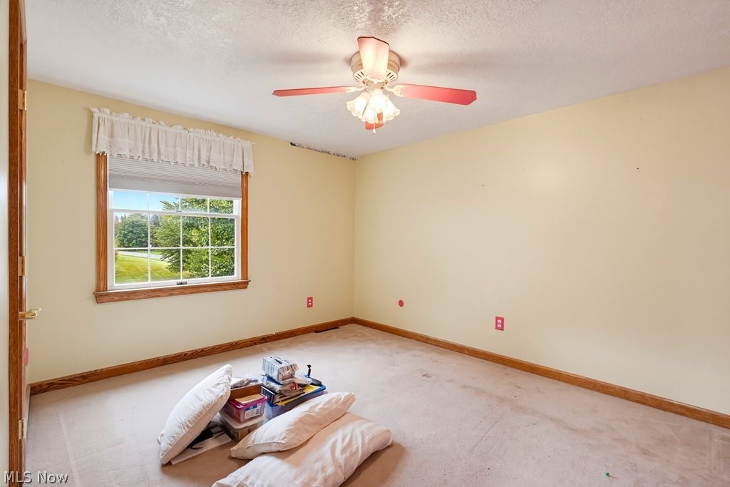 4209 Sunnyview Drive Property Photo 16