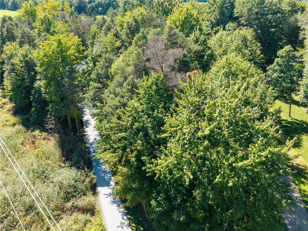 3126 Cliffside Drive Property Photo 7
