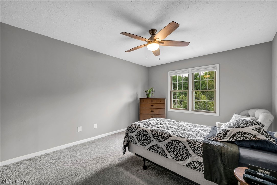 19 Pond Drive Property Photo 27