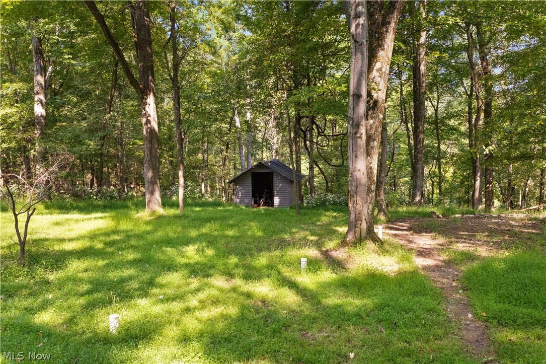 206 Deepwoods Lane Property Photo 6