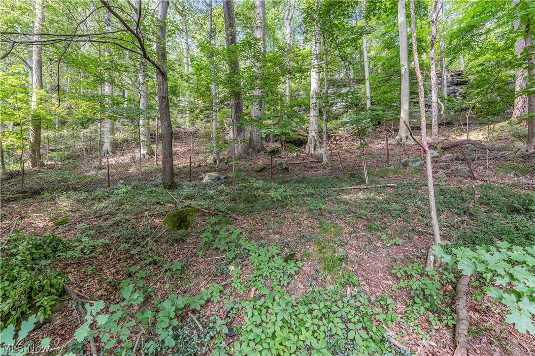 4723 Everett Road Property Photo 4