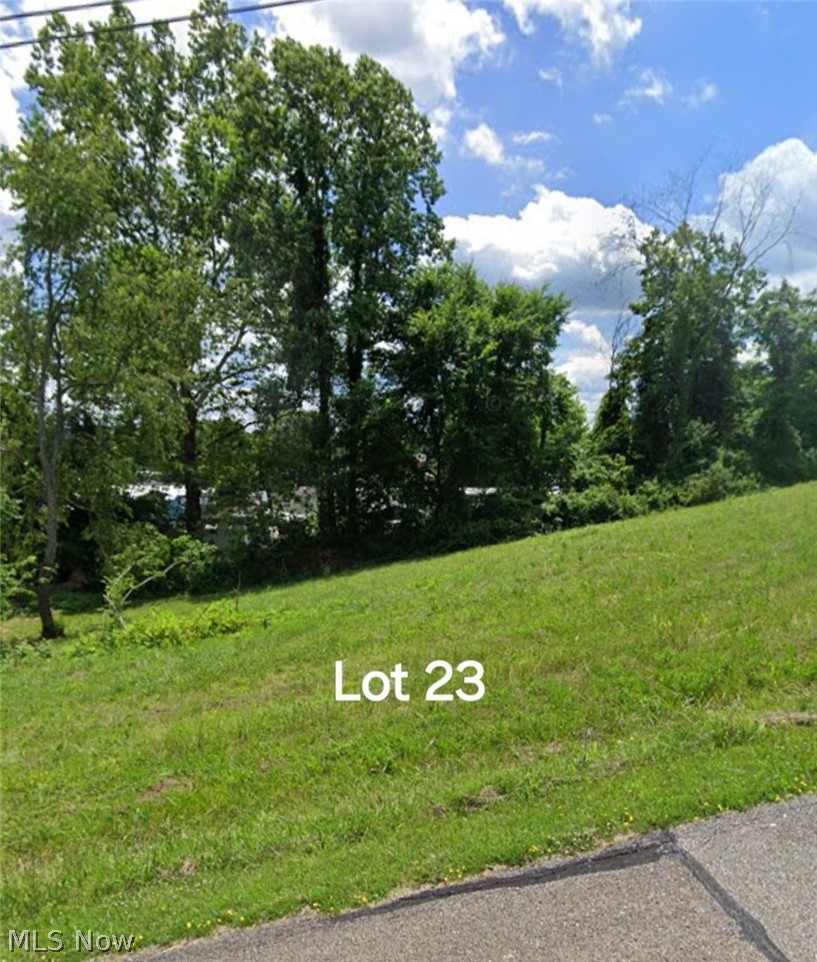 0 Spring Property Photo 1
