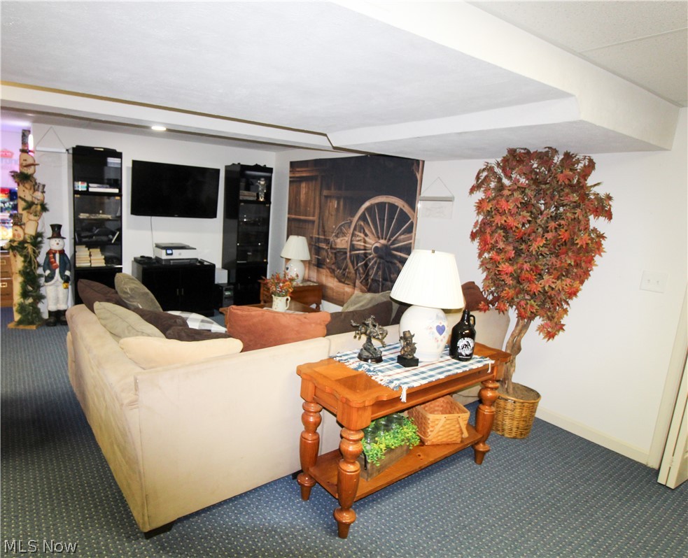 262 Topaz Circle Property Photo 49