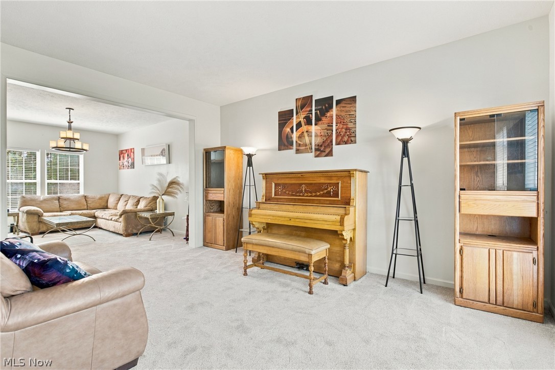 7372 Meadow Brooke Way Property Photo 11