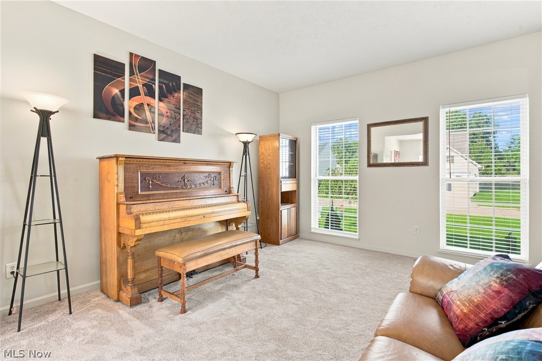 7372 Meadow Brooke Way Property Photo 13