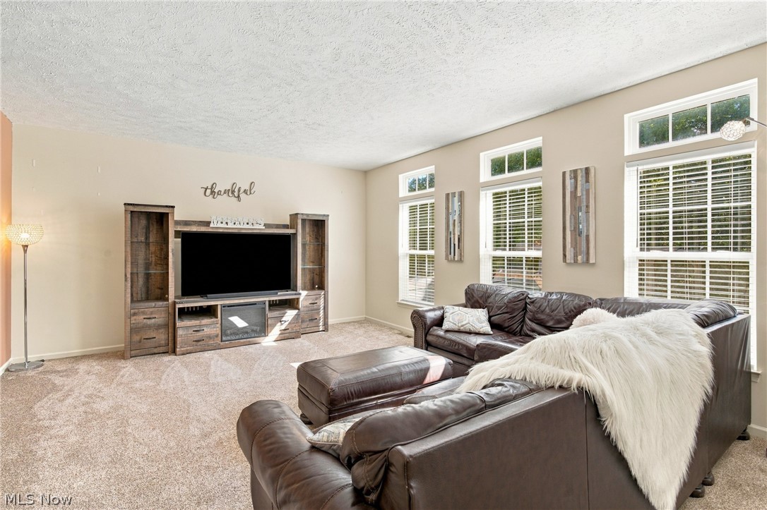 7372 Meadow Brooke Way Property Photo 24
