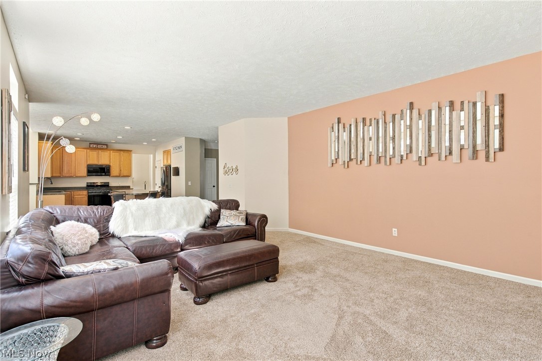 7372 Meadow Brooke Way Property Photo 26