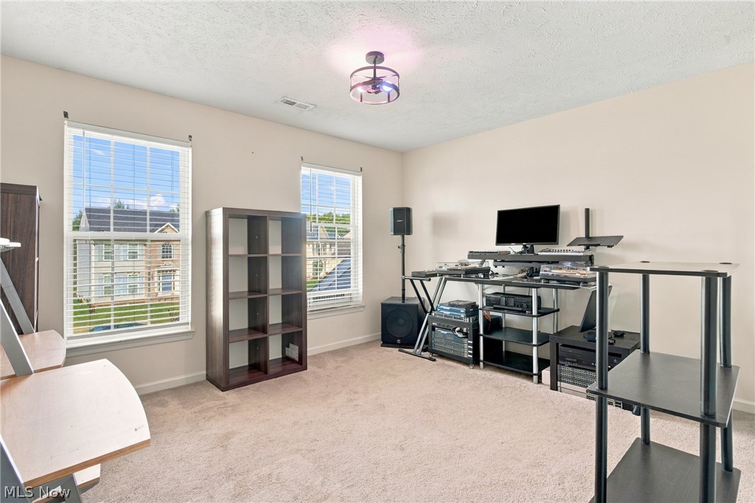 7372 Meadow Brooke Way Property Photo 31