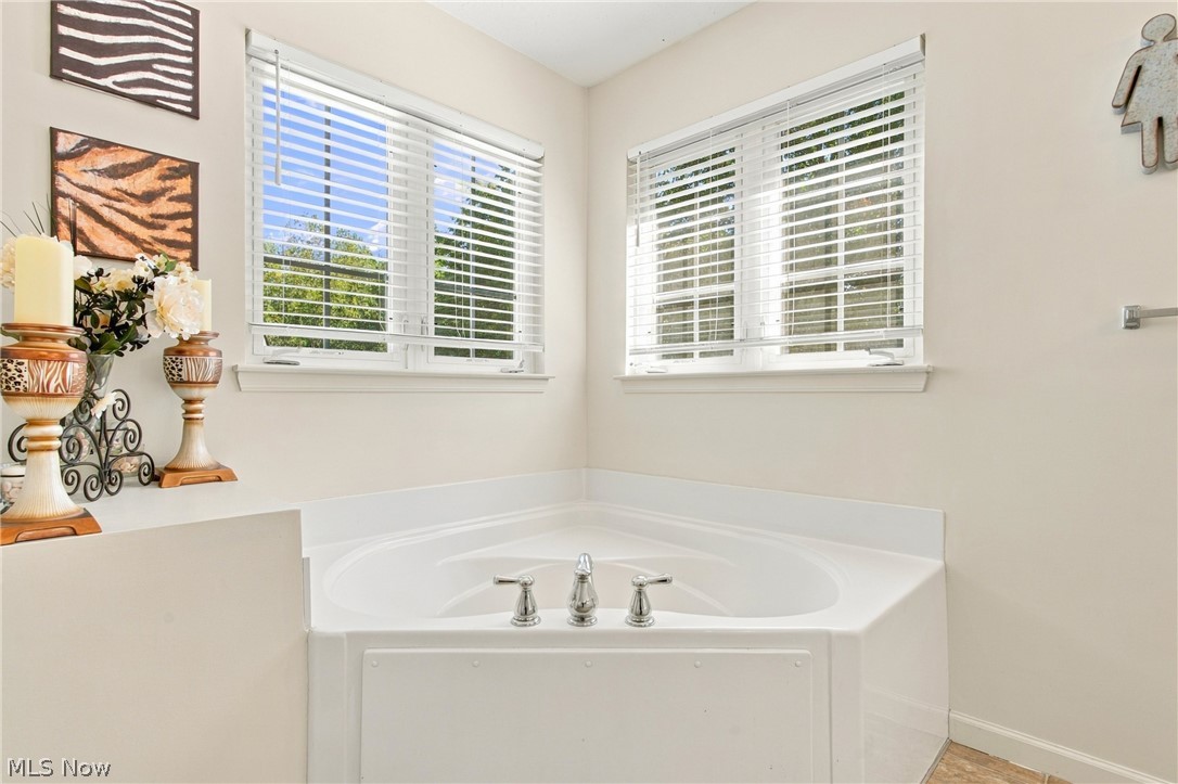 7372 Meadow Brooke Way Property Photo 40