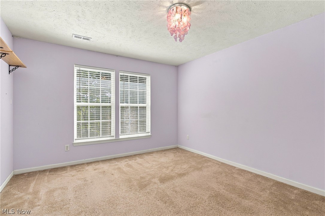7372 Meadow Brooke Way Property Photo 42